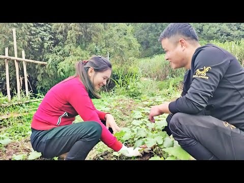 After work, police officer Luyen is very diligent in helping Vong with housework