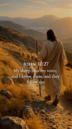 John 10:27 ✨ My Sheep Hear My Voice | They Follow Me #shorts #faith #quotes #christian