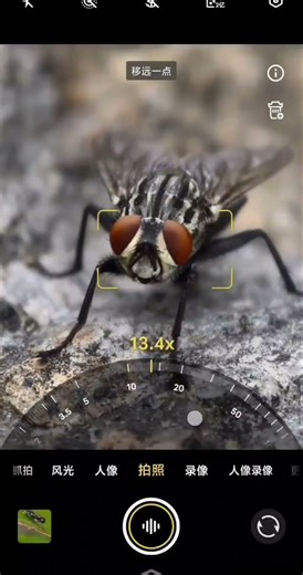 Vivo X300 Pro Stabilization + Zoom = Perfection? 🎬 #videostabilization #vivoX300pro #cinematography