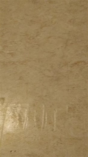 sorry if it doesn't sound that good im sick right now :') -tags- #furry #fursuiter #fursuit #fursona #trash #cosplay #wolf #furryfandom #furrytiktok #dinomask #dino #oc #smellyfurry #fyp #fypシ #fypage #fypシ゚viral #fyppppppppppppppppppppppp #art #arttrade #drawing #artcommison #commison