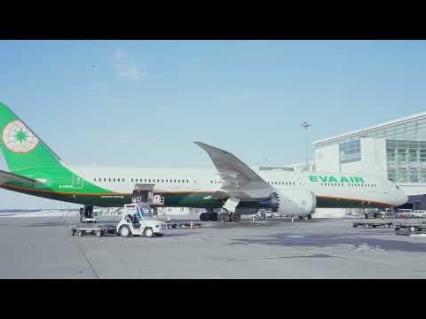 4K | Cockpit View: From Final Approach to Smooth Landing (2026 Spring)