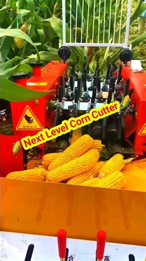 🌽 Next Level Corn Cutter Machine in Action! 🚜 #SmartFarming #CornHarvester #ModernAgriculture