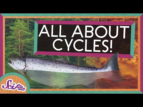 From Seasons to Salmon: All About Cycles! | SciShow Kids Compilation