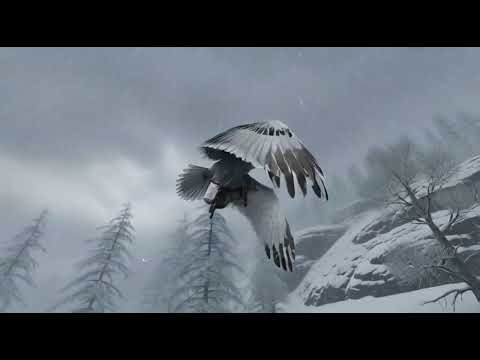 Seagull Bird Simulator