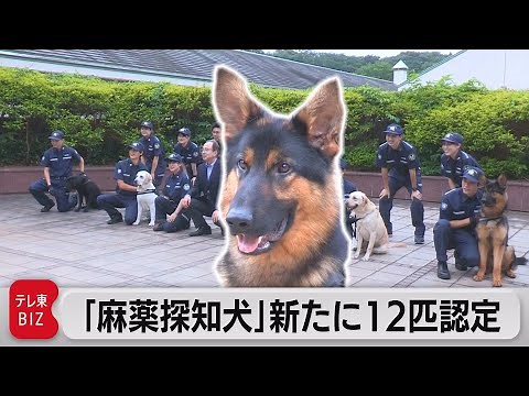 麻薬探知犬12匹を新たに認定（2022年6月16日）