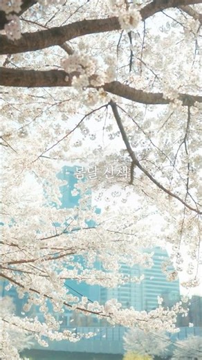 Leisurely Spring Days with Le Mouton | A Spring Walk