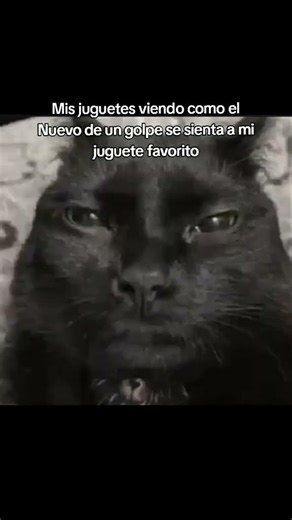 CARAJO ☠️💀⚰️👀 Y #shorts #viral #fyp #memes #xd #video