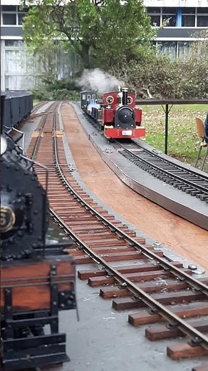 All scratch-built live steam train passes Shay #steamengine #train #steamlocomotive #railroad