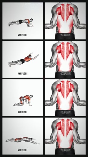 Gymplode® | Bodyweight Exercises for a Stronger Back Build a stronger, more stable back using simple bodyweight training you can do anywhere. This... | Instagram