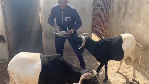 1K views · 13 reactions | Vidéo du jour avec humivet. | Grand Humivet Et Grand Humus Plus, Agriculture Biologique Aux Burkina Faso | Facebook