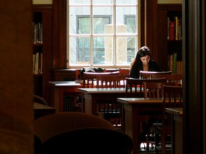 What does the library mean to you?