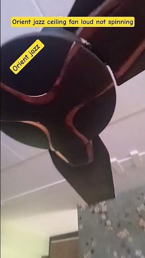 Orient jazz ceiling fan loud not spinning