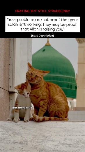 ✨ Read description…&. Support for more… #islamicreminder