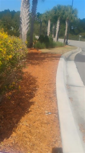 Sean Johnson on Reels