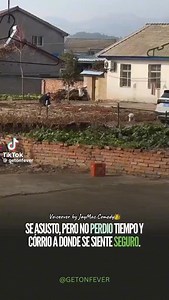 1.1K views · 2.4K reactions | Lil bro was outta there  #funny #dog #voiceover #comedy #laugh #like #share | Jeremiah Mac | Facebook