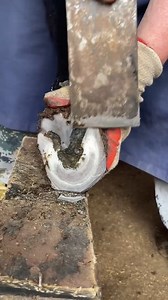 Hoof trimming: Thick donkey hooves are easily cut off! Have you seen about donkey care | Prince of the Black Donkey&ASMR hoof