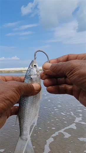 How to use fishing bait effectively