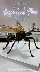 8K views · 331 reactions | ✖️NEW✖️ Have you seen "Foodtastic" yet?!...