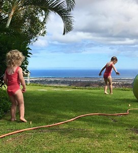 Schofield Barracks/Wheeler Army Airfield - Millie