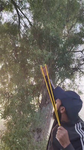 no slingshot hunting with brids #viral #hunter #slingshot #hunting