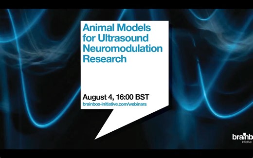 Brainbox Initiative Webinar：用于超声神经调控研究的动物模型