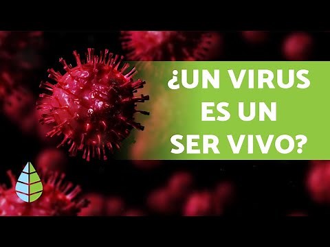 Are viruses living beings?🦠