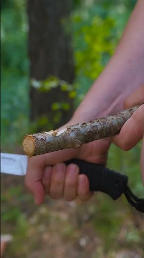A hack with a saw from a smart lady! 🌲 #camping #hack #diy