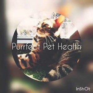 PERFECT PET HEALTH (STRONG SUBLIMINAL)