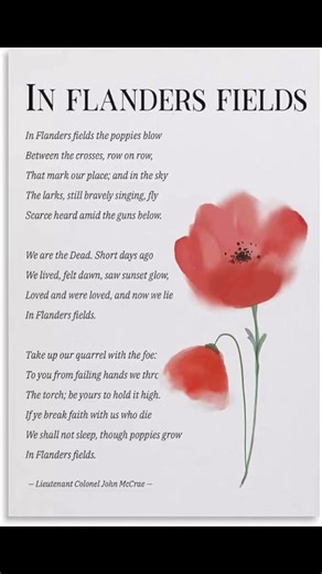 Tammy Green - Moncton Real Estate on Reels