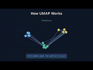 PCA vs UMAP Explained: When to Use Each (and Why You Need Both) | Single-Cell Analysis | Mapmaker 2