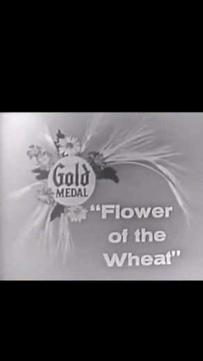 8.8K views · 424 reactions | 1956 | Daily Historical Pictures and Videos | Facebook