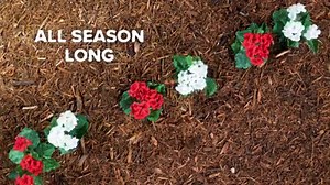 59K views · 231 reactions | Our soaker hose releases water gradually, so there's no evaporation and no waste. | Gilmour Garden & Watering | Facebook