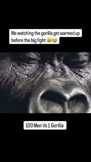 Guys am I bugging out 😭 Can it be done 👀🤔 #lol #gorilla #funny | Joseph Charm