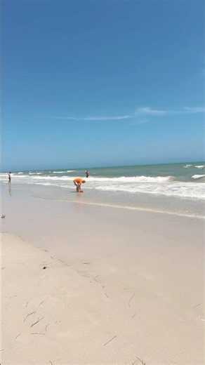 🌴 Palm Beach Club Djerba – rajska plaża i turkusowe morze 🌊