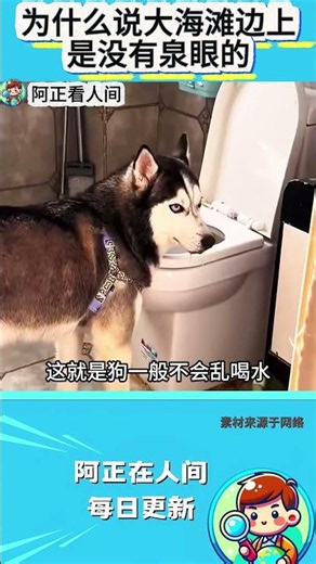 为什么说大海滩边上是没有泉眼的？