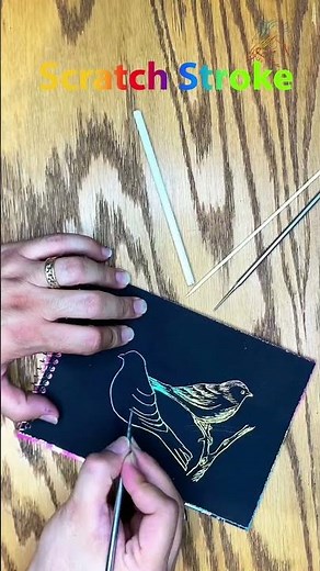 "Scratch Art | Two Birds on a Tree Branch | Easy Scratch Drawing Tutorial"