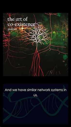 We are very much LIKE TREES and talk similarly #artofcoexistence #podcast #shorts #mycelium