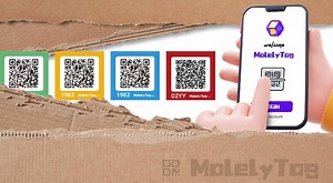 Watch QR Code Labels for Storage, Organization, Moving on Amazon Live