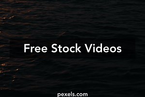 Brain Waves Videos, Download The BEST Free 4k Stock Video Footage & Brain Waves HD Video Clips