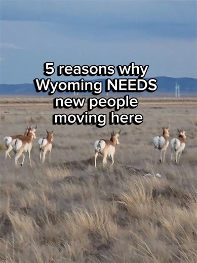 1️⃣ Population stability Wyoming’s population grew just 0.4% last year, while residents 65 grew by 3.2%. Translation: we’re aging faster than we’re growing. That’s how schools shrink, services consolidate, and towns slowly lose momentum if new residents don’t move in. 2️⃣ Economic balance (breaking boom-and-bust) When growth stalls, businesses struggle to replace retiring workers and expand. Wyoming has lost thousands of residents over the last decade, and without new people and new job pathways