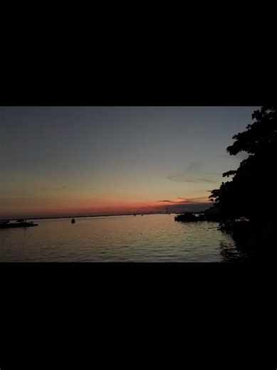 Besuchen Sie Manaus - Amazonas! @droneiros_manaus @antnia3713 #florestaamazonica #jungle #foodpor #CapCut #amazonas