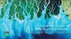 Have you ever wondered just how much of our world we’ve come to know about through television? From bringing stories from the edge of the world into our homes, to bringing people closer together in a room to watch these stories – it’s been our window to the world we didn’t know existed. #WorldTvDay | Sony BBC Earth