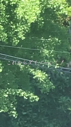 Fly Octo Fly ~ Ebb & Flow (From