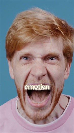 When Not to Resolve Conflicts: 7 Brain States