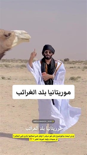 ‏#عبدالرحمن_المطيري#سنابات_عبدالرحمن_المطيري#fy#fypp