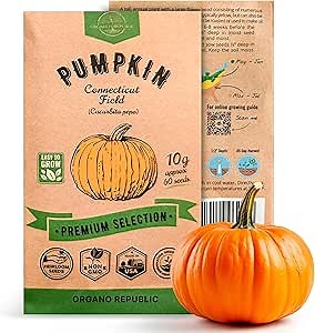 Organo Republic Pumpkin Connecticut Field Seeds Pack, 10G - Over 60 Non-GMO Heirloom Pumpkin Seeds for Planting Vegetables in Individual Seed Packet, Vegetable Seeds for Indoor & Outdoor Gardening