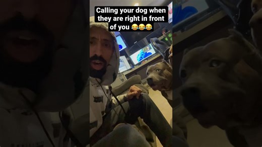 Calling dog while he’s right there confuses him in funny prank