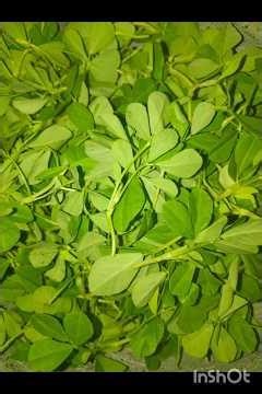 Methi Ki Sabzi#viral#food#cooking#bome