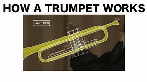 54K views · 866 reactions | How a Trumpet Works Paul The Trombonist | Paul The Trombonist | Facebook