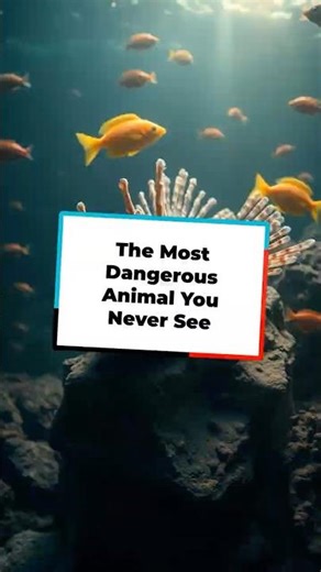 Is the stonefish nature's ultimate predator or just a misunderstood gem? 🎉 #NatureFacts #shorts